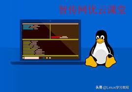 linux 777权限 命令_linux 修改权限命令_linux权限命令