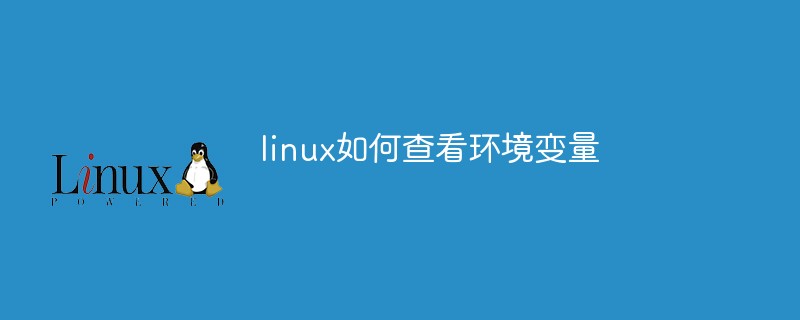 linux 命令输出到变量_linux压缩命令zip命令_linux 环境变量命令