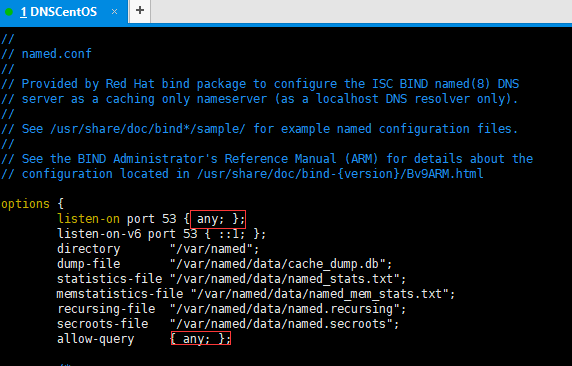 Linux环境中DNS服务的安装与配置