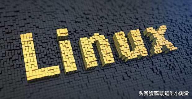 指令基本格式有几个字段_指令基本格式_linux基本指令