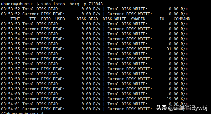 linux命令行查看系统版本_linux查看操作系统版本命令_linux命令查看版本信息