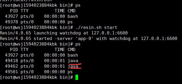 linux查看cpu内存命令_linux系统cpu内存查询_linux系统内存查询命令