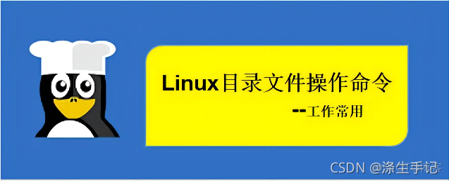 linux回到根目录命令_linux vi 命令 目录_linux删除目录命令