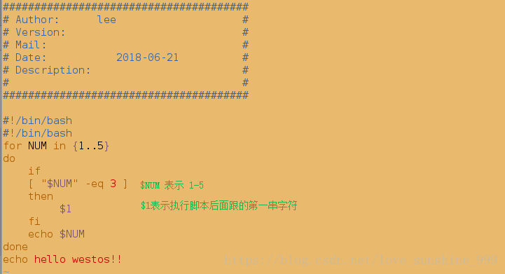 linux命令解释器有哪些_linux常见的命令解析器_linux中命令解释器是