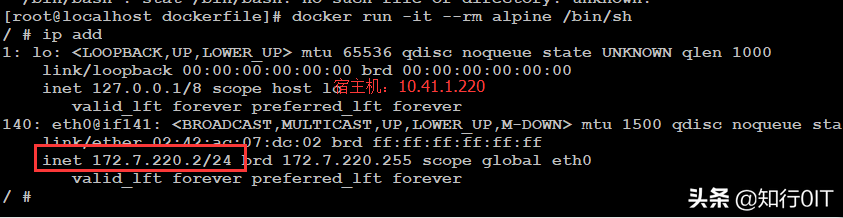 docker 宿主机ip_宿主机ip怎么看_宿主机是什么