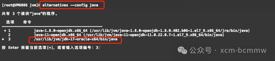 alternatives linux_alternatives linux_alternatives linux