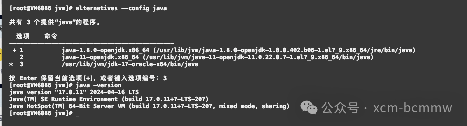alternatives linux_alternatives linux_alternatives linux