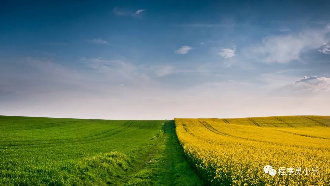 程序运行下面的终端显示黄色_在linux下运行windows程序_在linux下运行windows程序