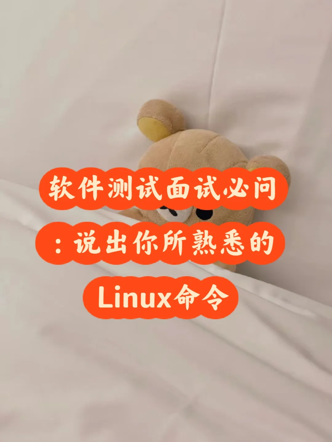 ftp linux 命令_linuxftp客户端命令_ftp命令linux