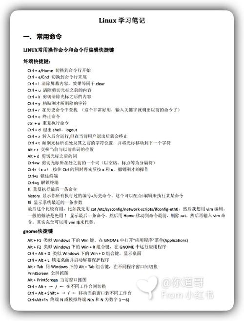 命令运行exe文件_linux 命令 运行_命令运行窗口