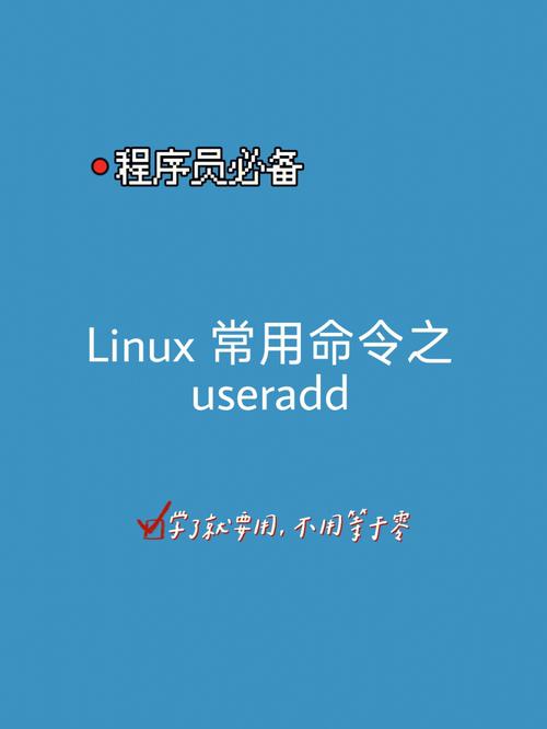 用户创建命令_命令行建立用户_linux系统下建立用户命令是什么