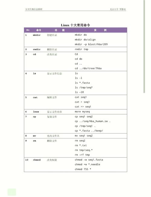 命令查看网络配置_linux 查看网络 命令_命令查看网络ip地址