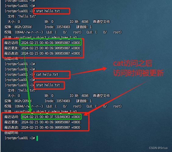 linux 以某个用户执行_执行用户键入的各类命令_执行用户自定义函数的语句是