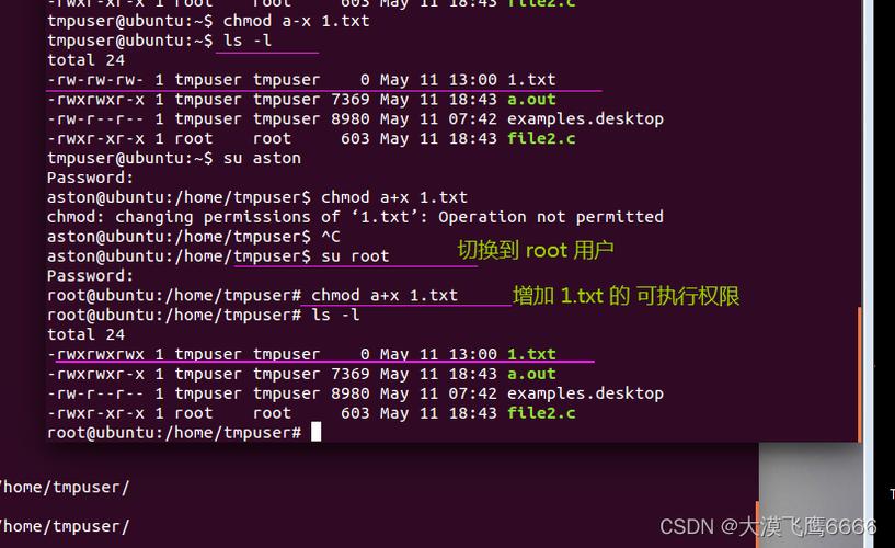 开机命令运行_linux 开机运行命令_linux开机执行命令