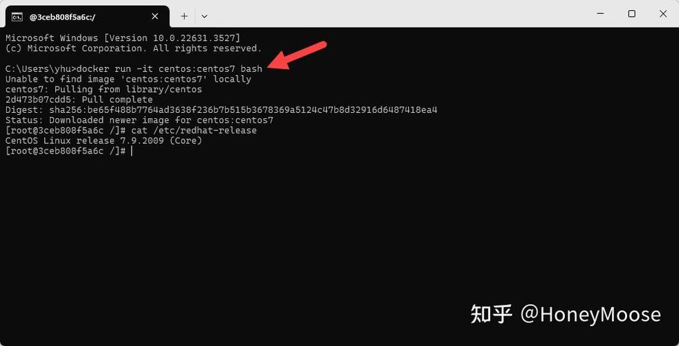 ssh连接docker容器_古墓丽影起重机和容器连接_容器连接本地数据库