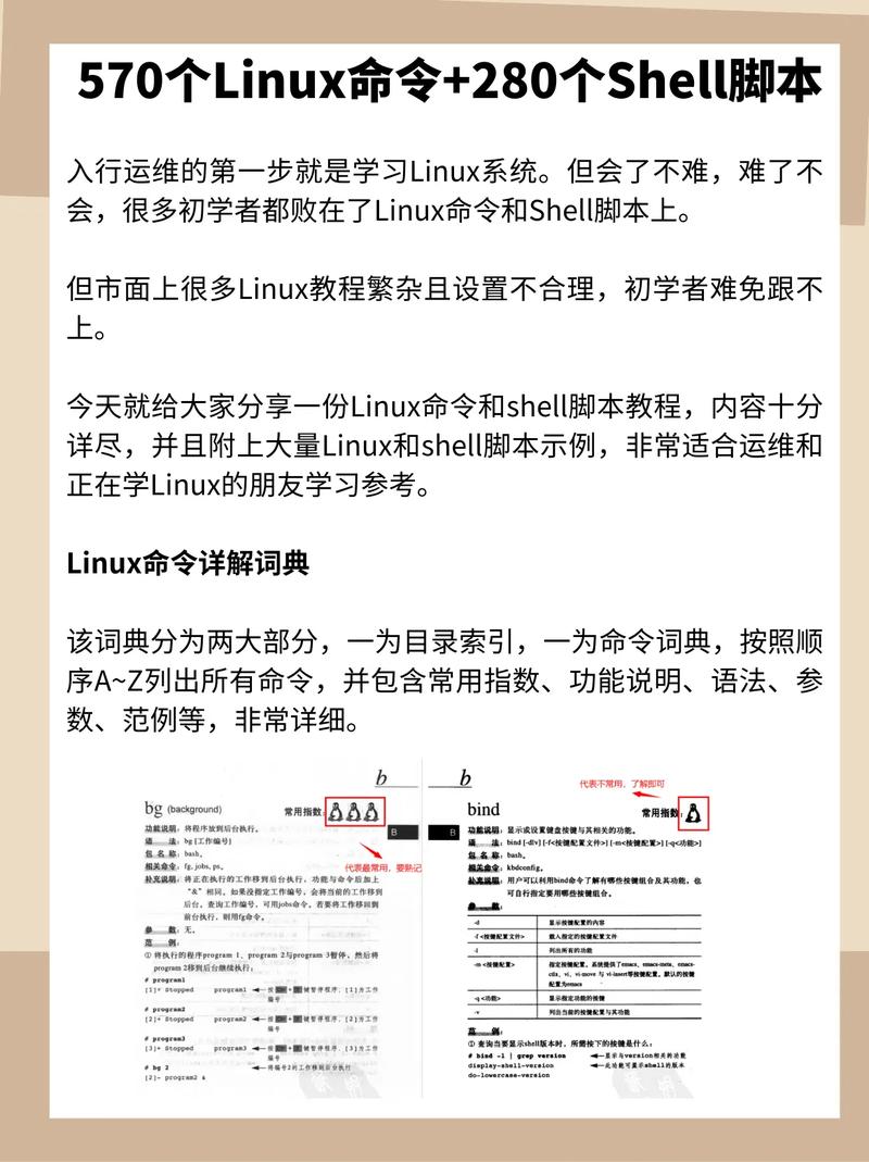 脚本安装后如何使用_脚本安装了但是还是刷不了课_linux安装脚本