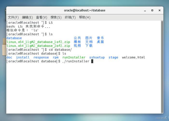 下载233乐园_下载地铁逃生_linux的oracle11g下载