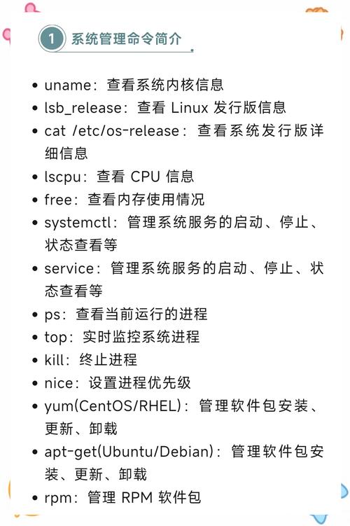 linux ls命令不能用_linuxls命令-c_cmd命令大全ls
