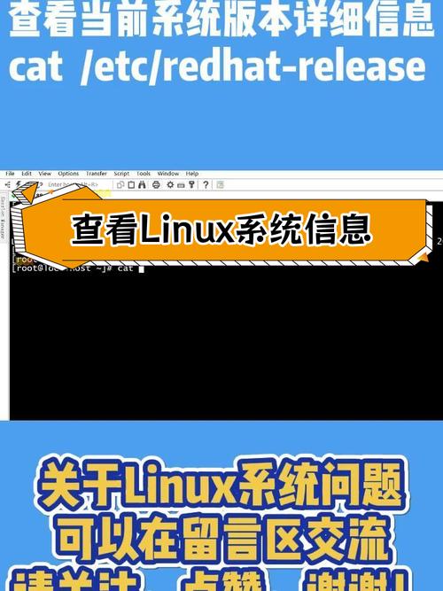 linux操作系统查看版本_查看版本系统_查看linux系统版本