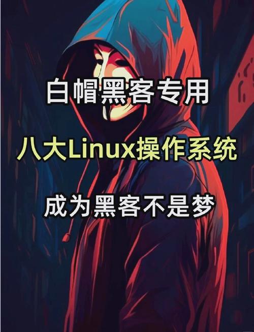 linuxweb服务器安全_狗安全头盔_linux 安全狗