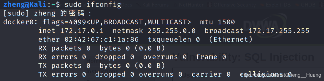 ifconfig