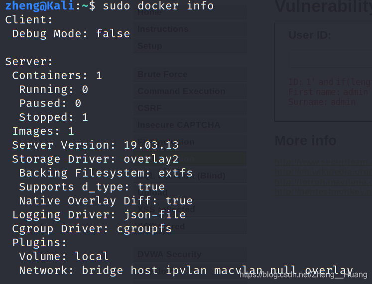 Docker info