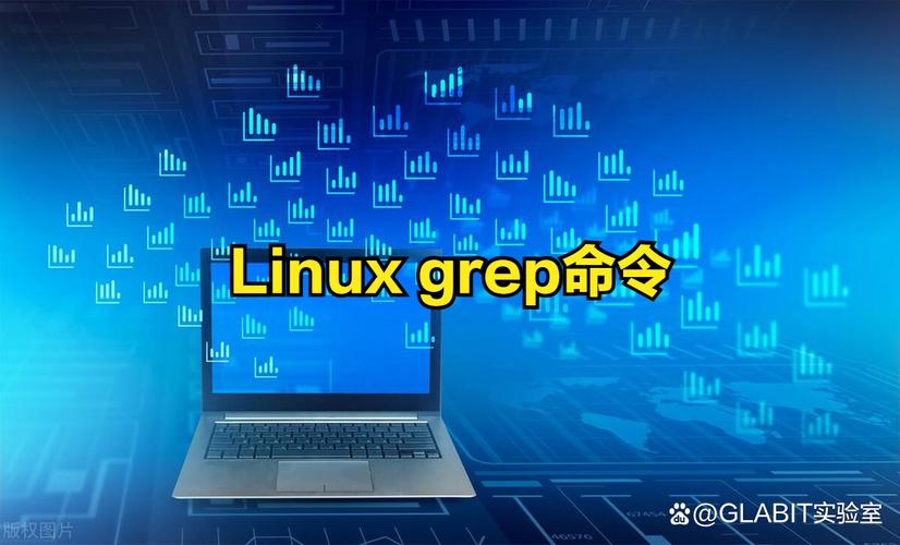 linux中grep命令_输出英文_linux grep输出