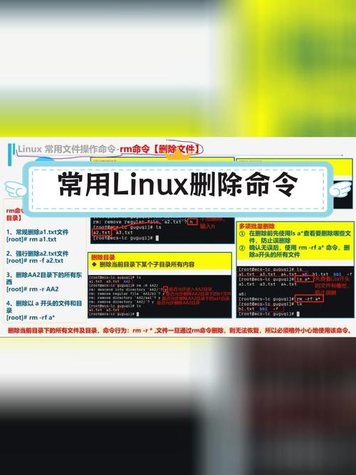 linux查看版本信息的命令_查看版本号linux_linux查看系统版本信息