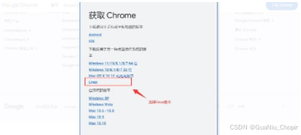 安装ChromeOS_安装chrome_linux如何安装chrome