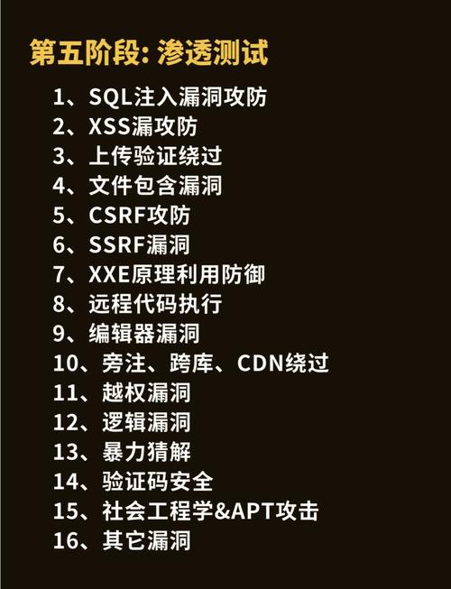 渗透测试使用的工具_web渗透测试 使用kali linux pdf_渗透测试使用需求大幅增长