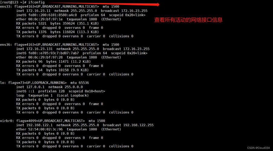 命令使用方法_锐捷交换机ping命令使用_linux export命令使用