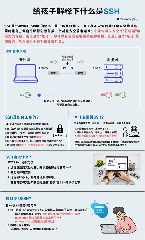 linux查看ssh版本信息_查看版本信息linux_查看版本信息命令