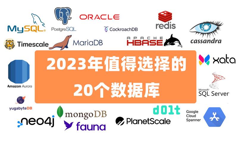 linux查看库文件信息_linux查看数据库运行_linux查看数据库运行状态