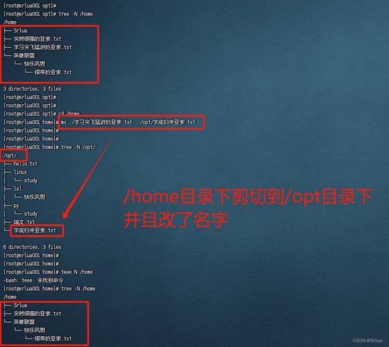 进程文件句柄数查询_进程文件路径_linux 进程文件