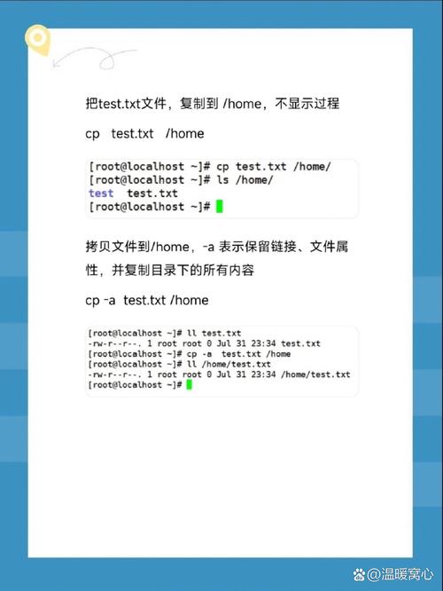 linux复制命令cp_linux cp命令_linuxcp命令源代码