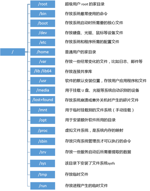linux系统有几种文件类型_linux典型文件系统类型_linux特有的文件系统