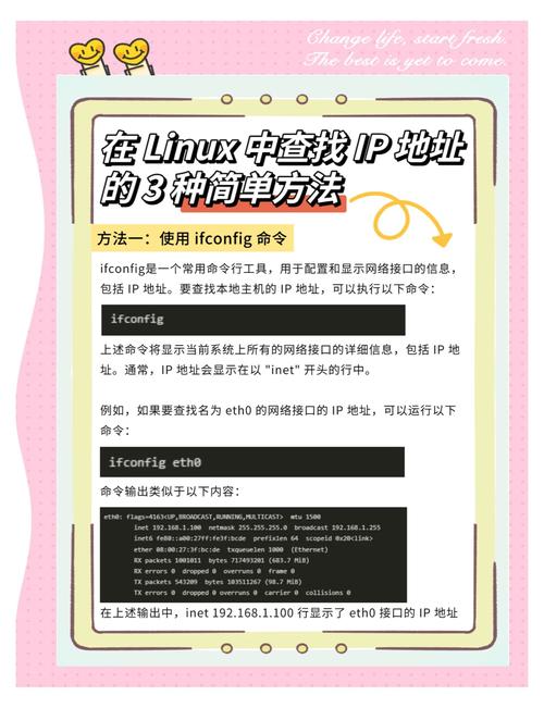 外网显示不可上网怎么回事_外网显示联网失败_linux 显示外网ip