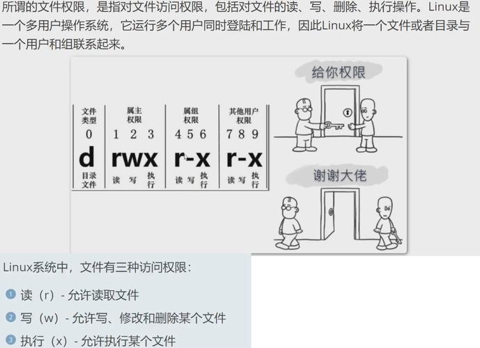 权限用户怎么开启命令_linux 给用户root权限_权限用户名