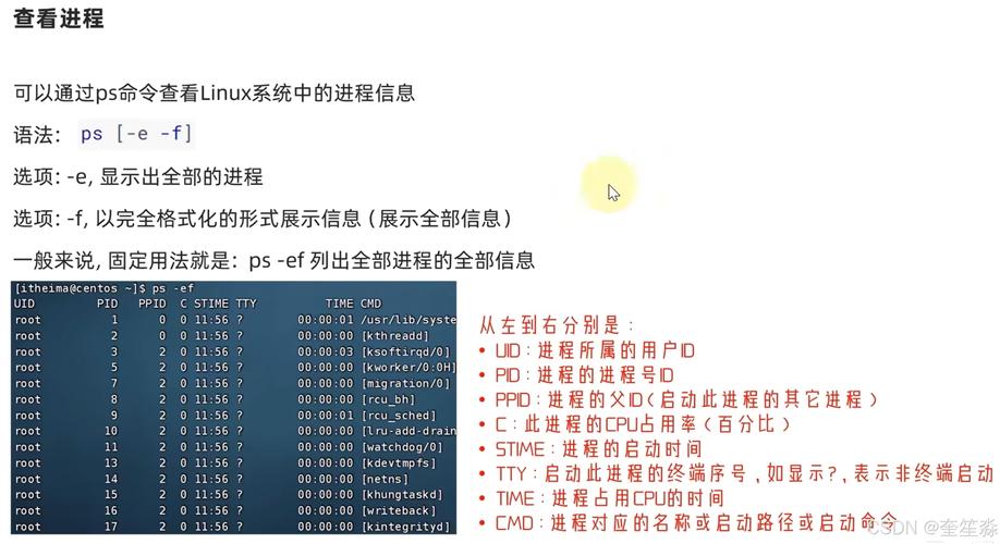 linux安装服务器_linux服务器常用软件安装_如何在服务器上安装linux系统
