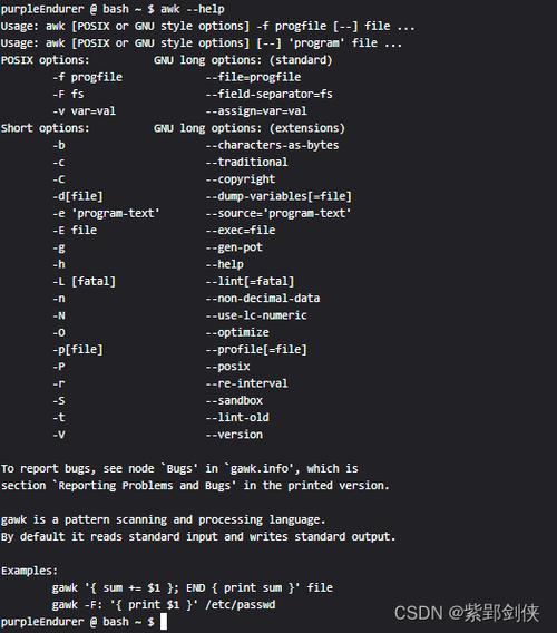 命令执行窗口怎么打开_命令执行绕过_linux c执行shell命令