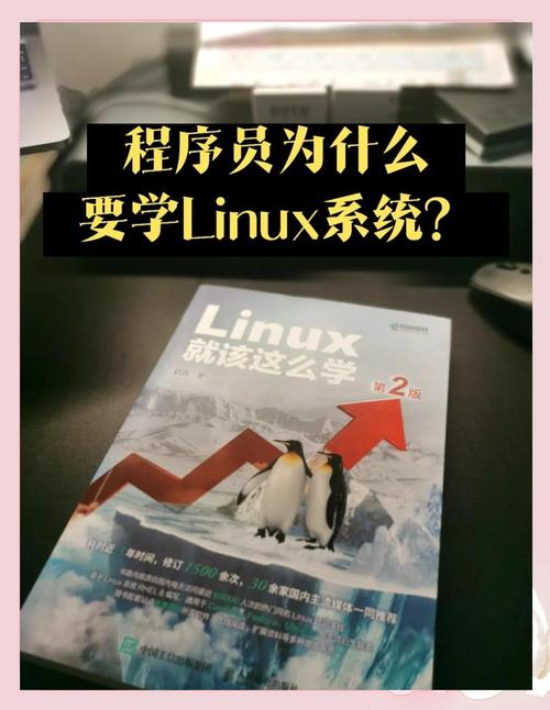 linux作为日常系统_中国作为发展中国家有什么优势_linux作为嵌入式操作系统的优势