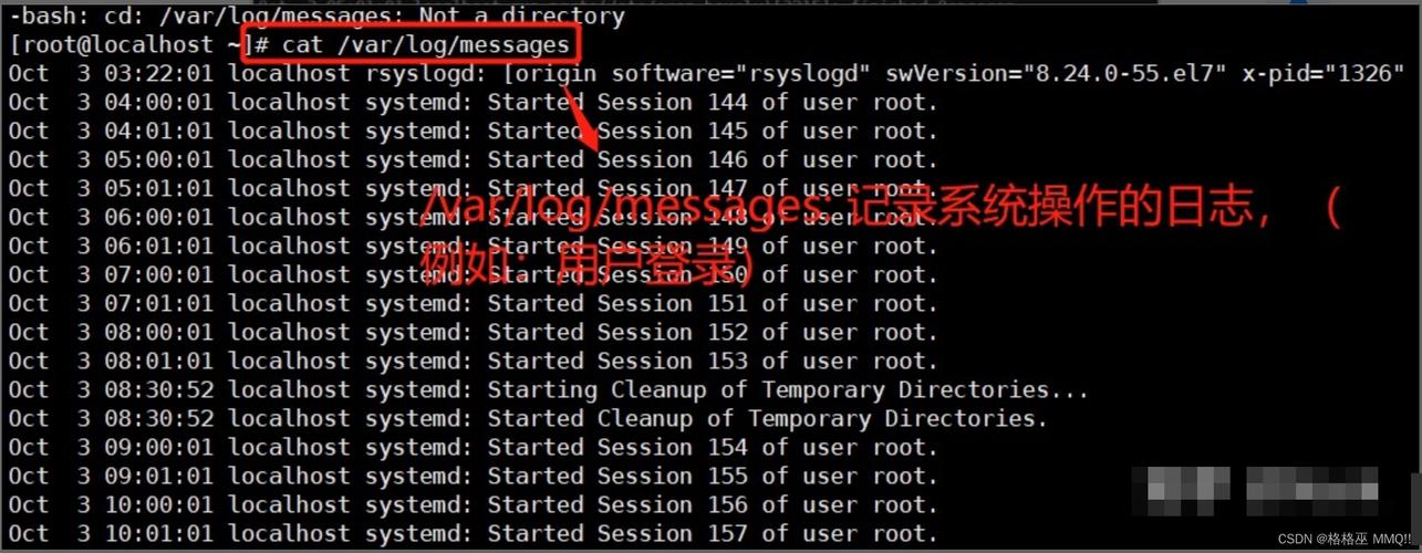 linux定时执行php文件_定时执行文件_定时执行shell命令