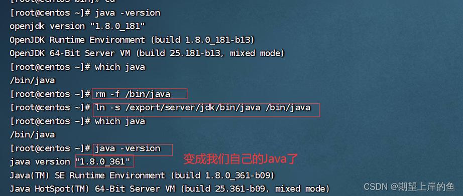 linux环境安装tomcat_环境安装器_环境安装包