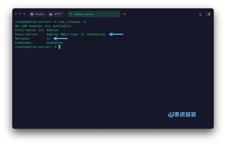 查看版本linux_linux如何查询版本_linux下如何查看版本