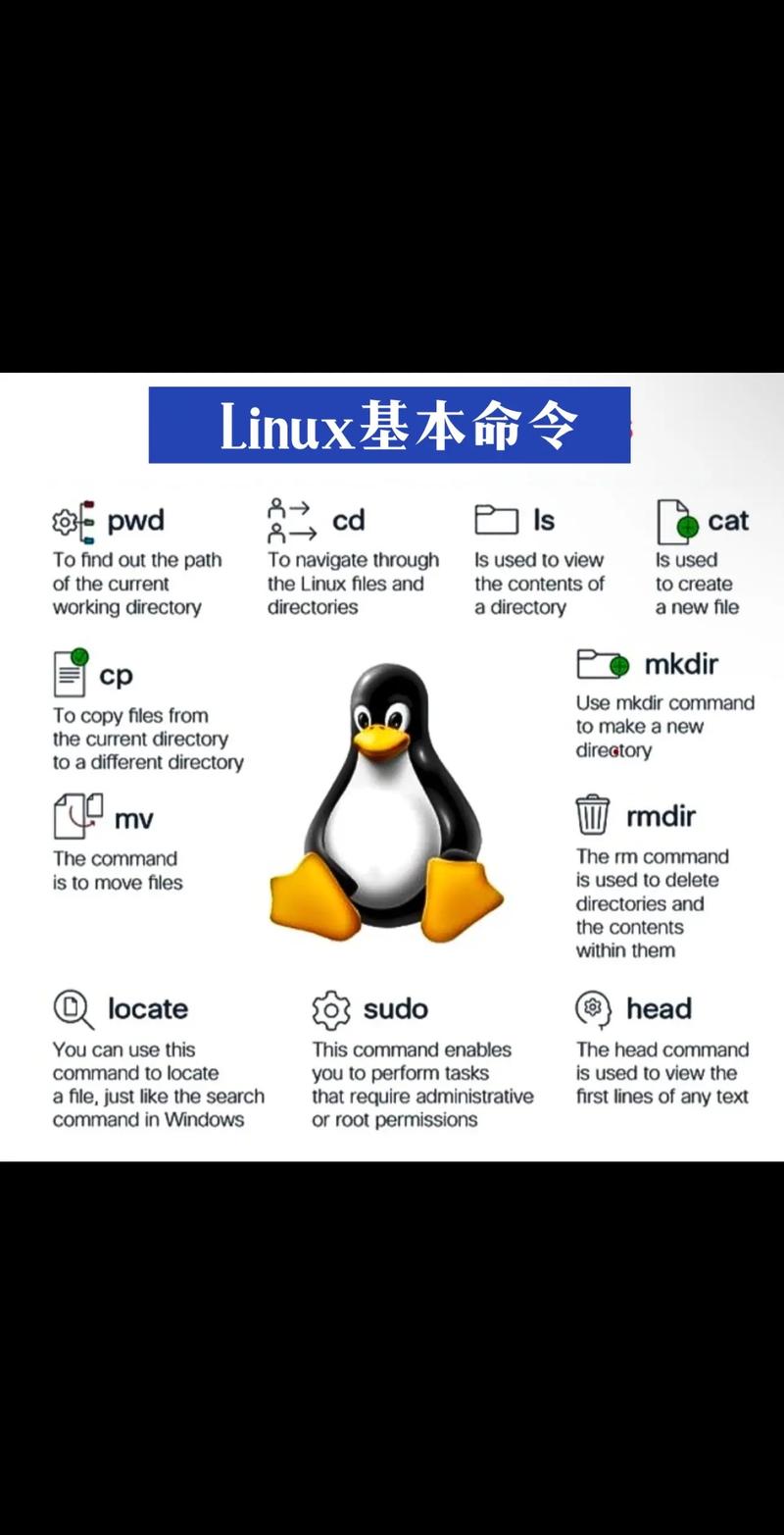 关机命令shutdown_linux关机命令_服务器关机命令linux