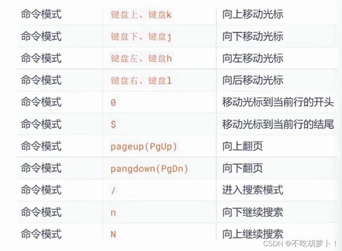 命令使用手册_linux命令vi的使用_命令使用权限