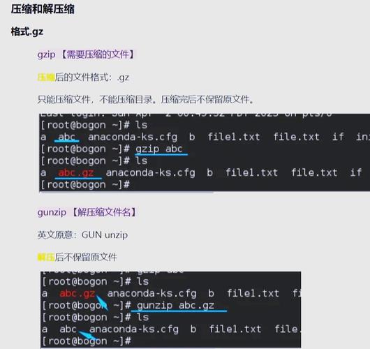 解压文件linux命令_linux如何解压7z文件_解压文件忘了密码咋解压