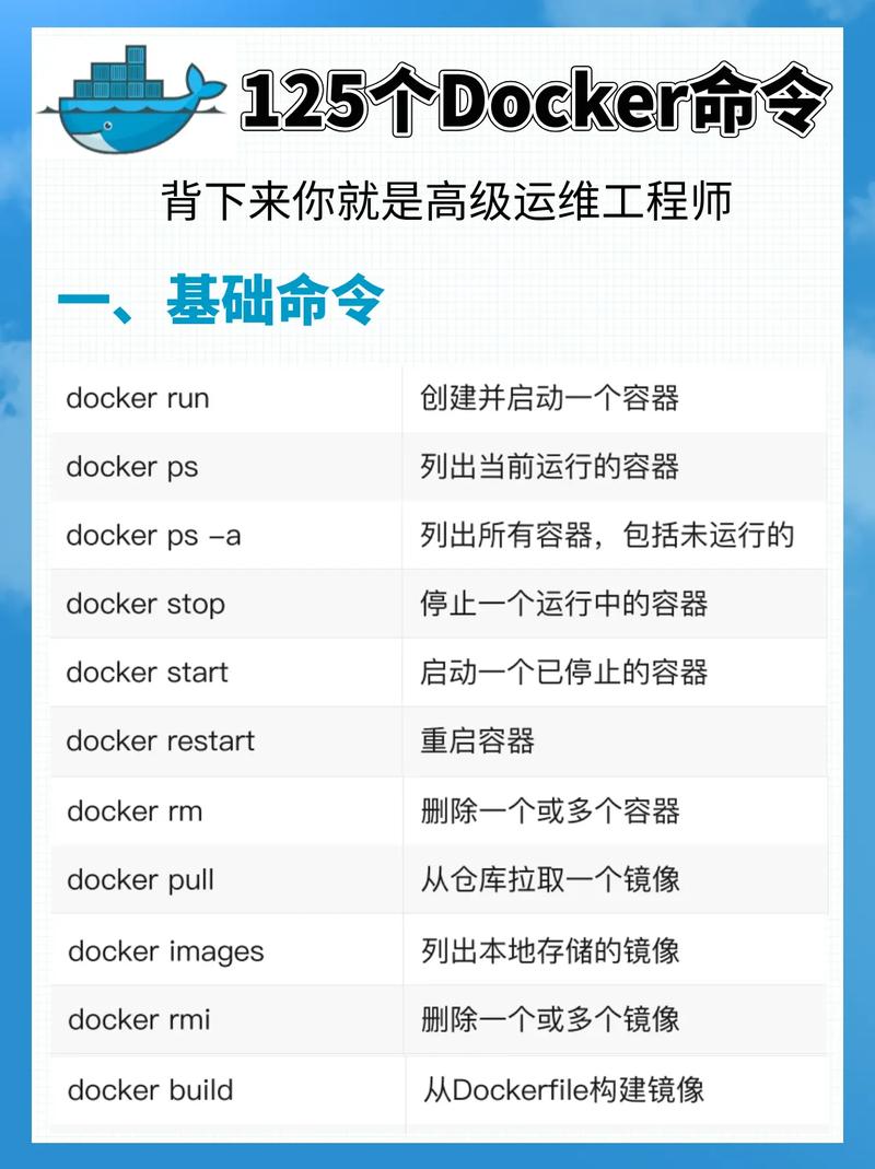 docker compose up d_docker compose up d_docker compose up d