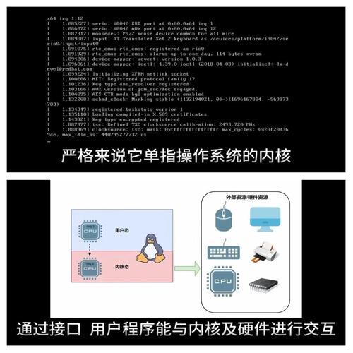 linux命令查看内核版本_查询内核版本linux_linux的内核版本怎么看
