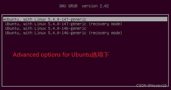 引导安装驱动器选哪个_引导安装系统_grub引导安装linux